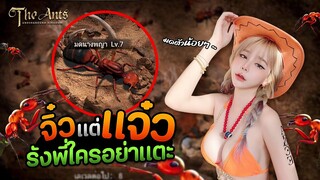 จิ๋วแต่แจ๋วแต่อาณาจักรใหญ่สุดอลังการ The Ant Underground Kingdom