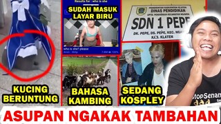 SUBUR LAYAR BIRU, KUCING BERUNTUNG, MENG KOSPLEY, BAHASA KAMBING, SDN 1 PEPE- ASUPAN NGAKAK TAMBAHAN