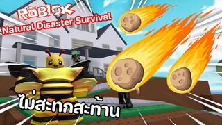 Roblox : Natural Disaster Survival อุกกาบาตก็ทำอะไรพี่ไม่ได้! ☄️💥