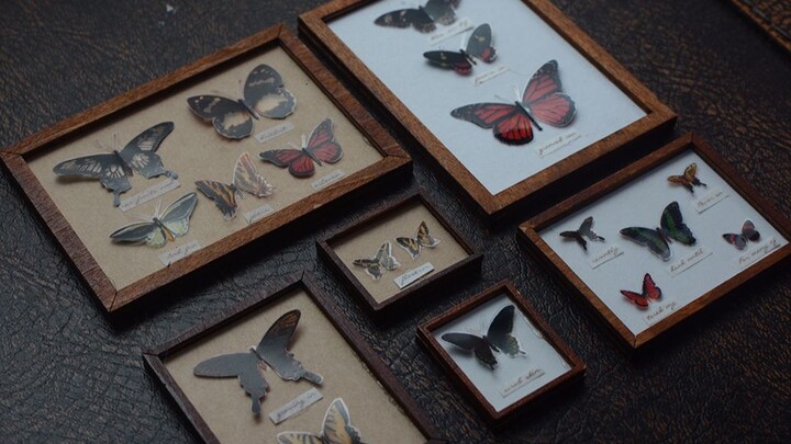 Handmade|Mini Butterfly Specimens