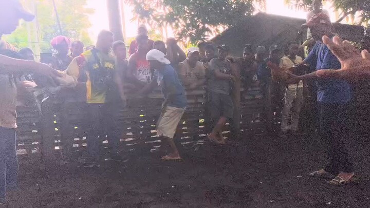 Sinamahan ng swerte kanawayon hatch stag vs cock. 😁✌️👌🙏🐓