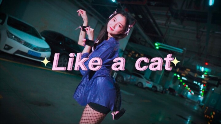 地下车场走失小猫咪快来认领！4k竖屏♡Like a cat【汤塬塬】