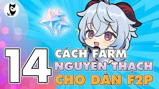 TỔNG HỢP 15 cách KIẾM NGUYÊN THẠCH dễ dàng cho DÂN F2P | Các Bạn Biết Được Bao Nhiêu Cách Rồi