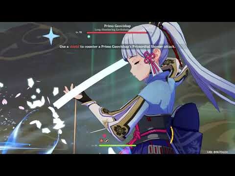 Ayaka Damage Test (C0 & R1 Mistsplitter Reforged) | Genshin Impact