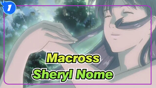 [Macross Zero] Iconic Air War Scenes! Sheryl's Grandmother Debuts!_1