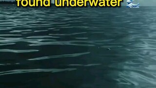 Strangest things found underwater