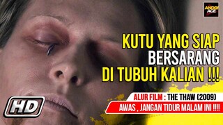 PUNYA PHOBIA JANGAN NONTON !!! KUTU YANG BISA MENGUASAI DUNIA - ALUR FILM The Thaw (2009)