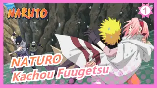 Naruto|[Naruto&Sakura]SEKAI NO OWARI_1