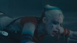 Harley Quinn kicked in the crotch