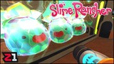 Into The Glass Desert To Get NEW SLIMES ! Slime Rancher [E5]