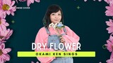 ドライフラワー ⬘ 優里 (Indonesian Version) ||  ōkami ken cover