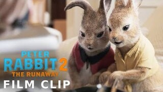 PETER RABBIT 2: THE RUNAWAY Clip - Sparkling or Still