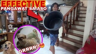 PAANO MAGAWAT NG NAGAAWAY NA ASO #PLANGGANAPANGAWATSAaso