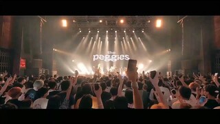 the peggies - ashita "terjemahan"