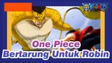 [One Piece/AMV] Gear Second Luffy vs. Rob Lucci--- Bertarung Untuk Robin