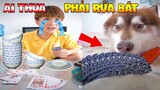 Thú Cưng Vlog | Chó Ngáo Husky Troll Bố #7 | Chó thông minh vui nhộn | Smart dog funny pets