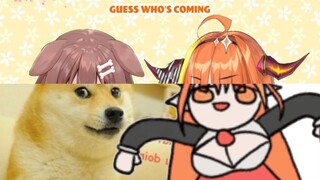 Korone will be in Coco's RADISH SPOT REVOLUTION!?