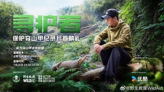 Wang Yibo will attend the premiere of the pangolin protection documentary broadcast live on Youku