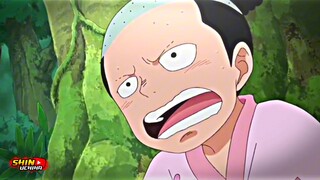 merinding Luffy & Momonosuke merasakan keberadaan zunesha