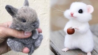 AWW Animals SOO Cute! Cute baby animals Videos Compilation OMG CUTEST moment of the animals 2