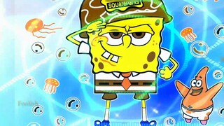 [Spongeswap]Bibulus (của tôi)