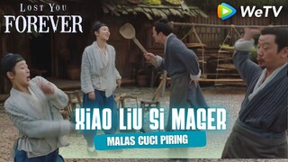 XiaoLiu Si Paling Malas Cuci Piring😂 Lost You Forever 长相思【INDO SUB】Ngakak Moment XiaoLiu 😂🤣