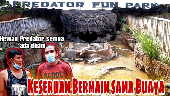 PREDATOR FUN PARK | HEWAN BUAS BIKIN JANTUNG BERDEBAR"😱😂