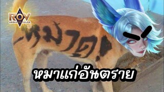 แผนการสุดเพอร์เฟค