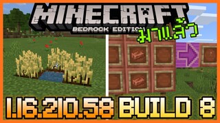 มาแล้ว Minecraft PE 1.16.210.58 Build 8 แก้ Bug ปลูกผักไม่ได้ กับ สูตรคราฟ Lightning Rod