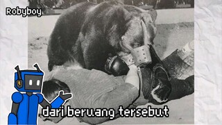 exploitasi paling gila antara manusia vs beruang liar