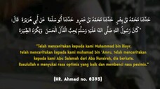 Tawakal Setelah Berusaha