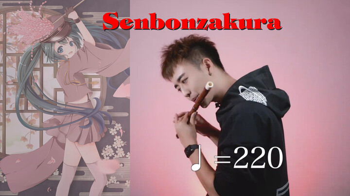 [Phát điên sau 1 phút] Tốc độ của "Senbon Sakura" được tăng lên 220