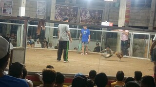 MNA 2nd fight win