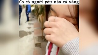 Có  cô người yêu não cá vàng