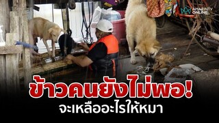 ลุยแจกอาหารให้ผู้ประสบอุทกภัยสี่ขา ชะเง้อรอความช่วยเหลือ | อมรินทร์อัปเดต