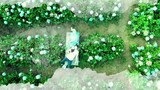 Bad Romeo EPISODE14