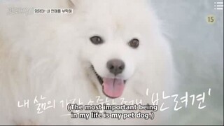 Pet me Pick me Ep 1 Part 1