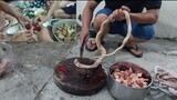 Lẩu long phượng món ăn nhà quê/Săn bắt ẩm thực vùng quê/tt85