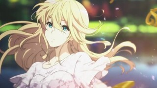 [Hoạt hình] Những bông hoa không bao giờ khô héo. - Violet Evergarden