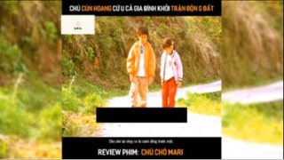 Tóm tắt phim: Chú chó Mari #reviewphimhay