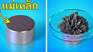การทดลองสุดน่าทึ่งที่คุณจะต้องอยากลอง