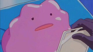 If you got a Ditto, what would you most like him to become?