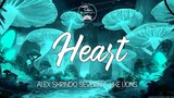 Heart [NCS Release] - Alex Skrindo, Severin & Like Lions ( Lyrics)