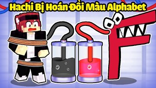 HACHI 24 GIỜ BỊ HOÁN ĐỔI MÀU SẮC VỚI ALPHABET TRONG MINECRAFT*HACHI BỊ HOÁN ĐỔI MÀU SẮC*