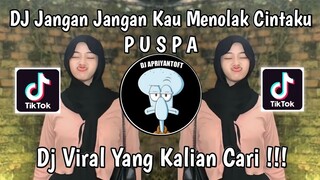 DJ JANGAN JANGAN KAU MENOLAK CINTAKU | DJ PUSPA VIRAL TIK TOK TERBARU 2024 YANG KALIAN CARI !