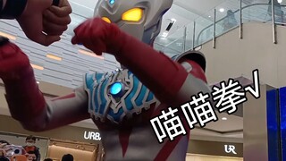 来跟虎虎碰拳拳吧
