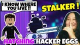 WE HAVE A STALKER THAT IS SPYING ON US 😱 + OPENING *HACKER EGGS*  IN PET SIMULATOR X