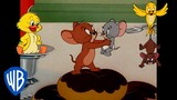 Tom & Jerry | Jerry's Best Allies 🐭 | Classic Cartoon Compilation | @wbkids​