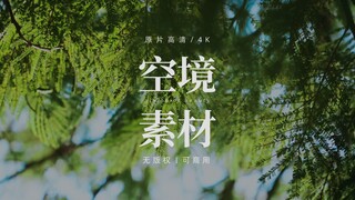 【无版权空镜】Green scene
