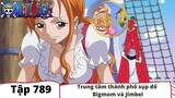 One Piece Tập 789 : Trung tâm TP. Hồ Chí Minh sụp sụp Bigmom và Jinbei (Tóm Tắt)